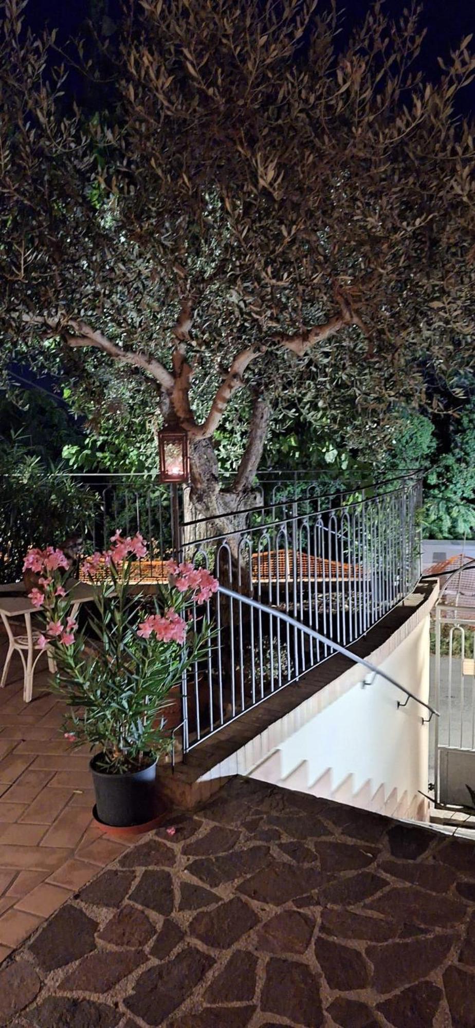 B&B Palazzo Mestichelli Boutique Palace มอนเตปรันโดเน ภายนอก รูปภาพ