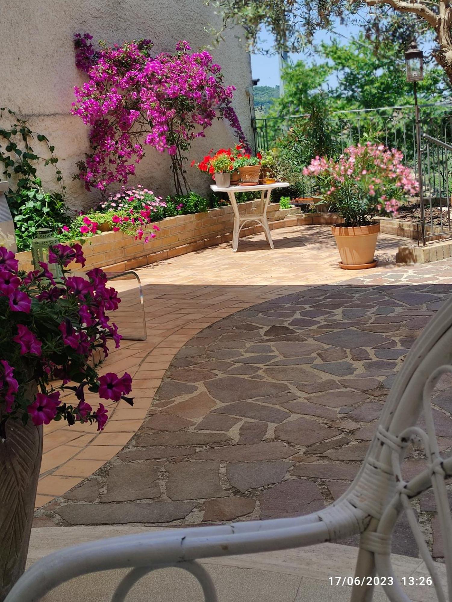 B&B Palazzo Mestichelli Boutique Palace มอนเตปรันโดเน ภายนอก รูปภาพ