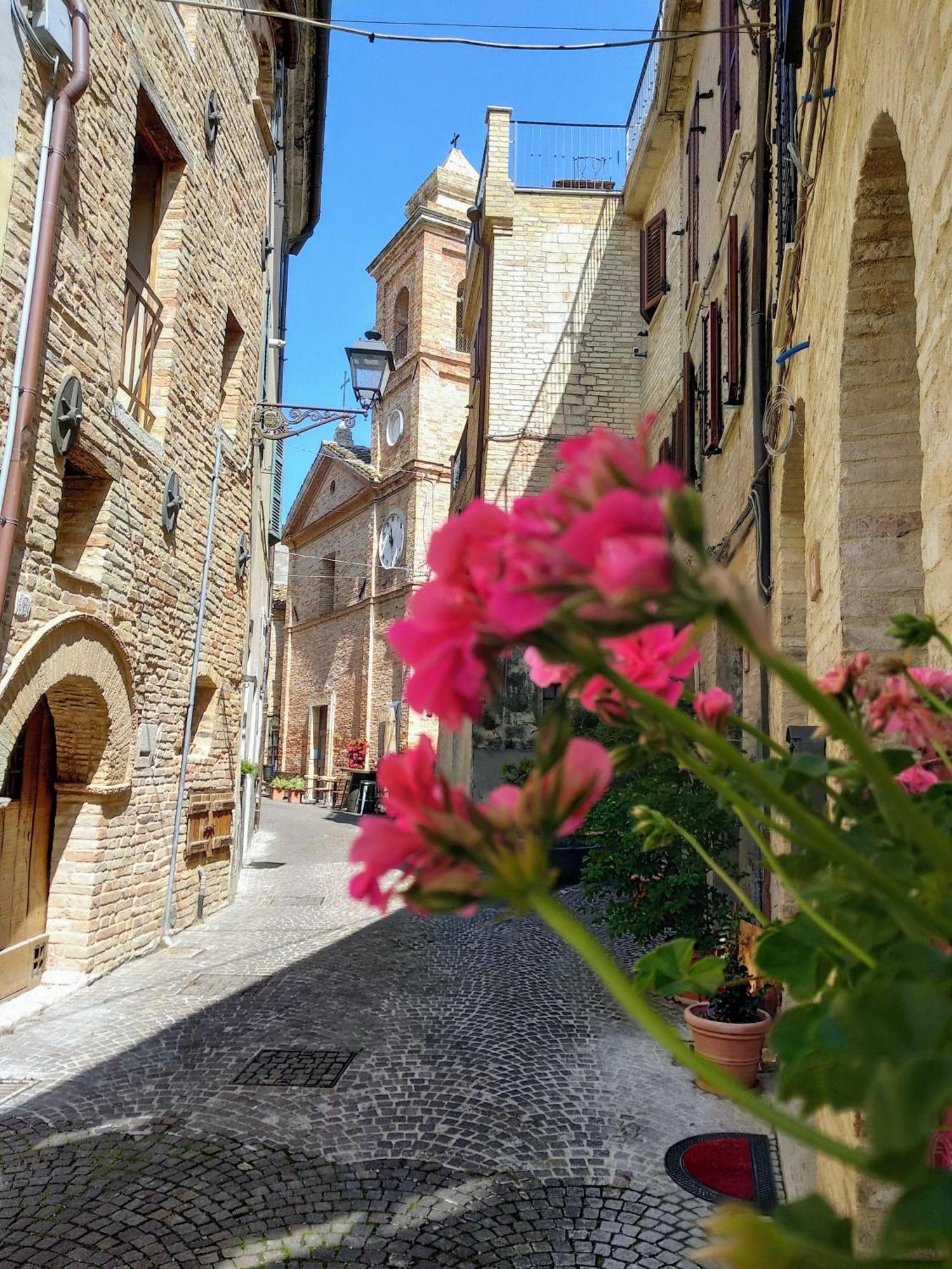B&B Palazzo Mestichelli Boutique Palace มอนเตปรันโดเน ภายนอก รูปภาพ